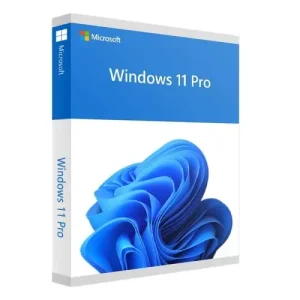 Microsoft Windows 11 Pro 64 Bit Retail USB Flash Drive