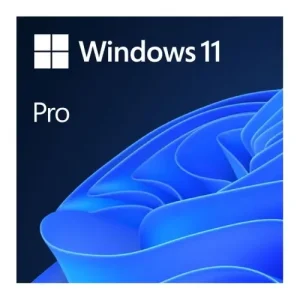 Microsoft Windows 11 Pro 64 Bit - Digital Download
